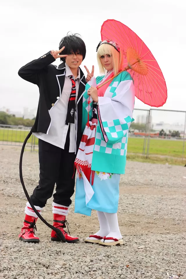 Anime Friends 2014