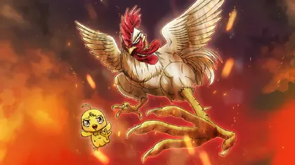 Rooster Fighter